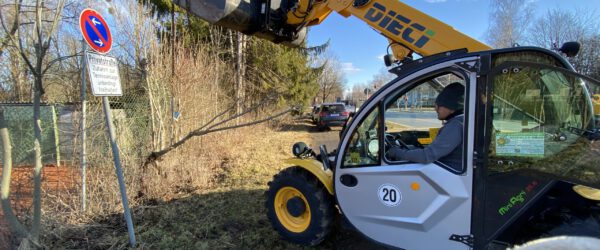 Renovierung der Grünanlage